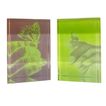 muhammad ali butterfly and bee crystal bookends