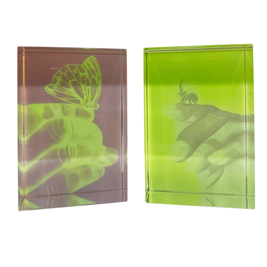 muhammad ali butterfly and bee crystal bookends
