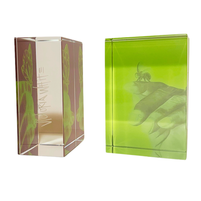 muhammad ali butterfly and bee crystal bookends
