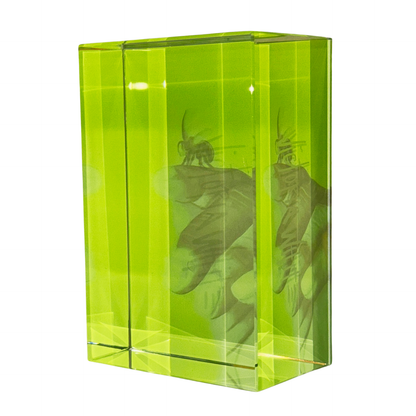 muhammad ali butterfly and bee crystal bookends