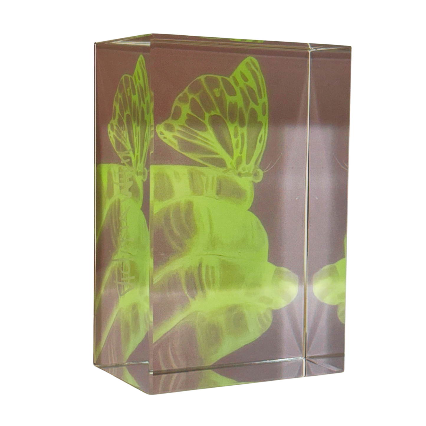 muhammad ali butterfly and bee crystal bookends