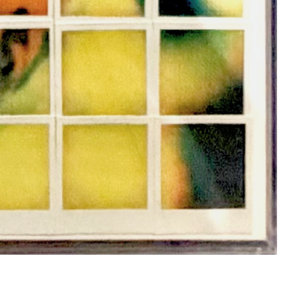 Kobe Bryant Photo Collage