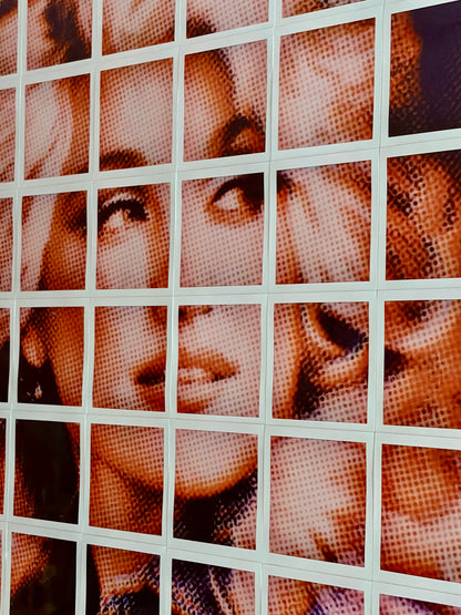 Dolly 24”x24” Polaroid Collage