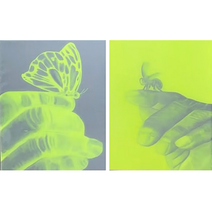 muhammad ali butterfly and bee crystal bookends